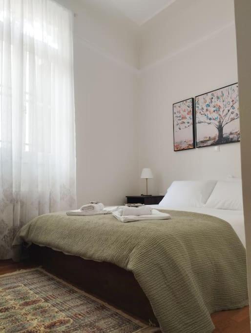 Calliope'S Neoclassical Home In The Heart Of Plaka Athen Exterior foto
