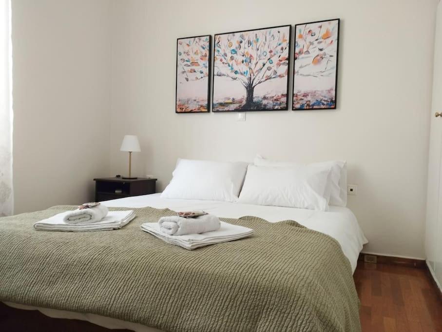 Calliope'S Neoclassical Home In The Heart Of Plaka Athen Exterior foto